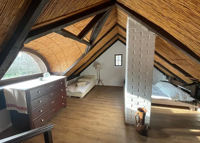 Apartment Pajta Vendeghaz Salfoeld