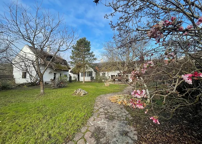 Pajta Vendeghaz Salfoeld * Salfold