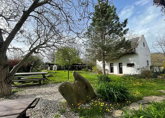 Pajta Vendeghaz Salfoeld * Salfold